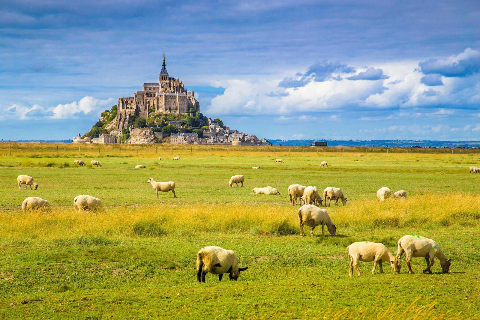 A Mont Saint-Michel-i apát kilátása a rétekből